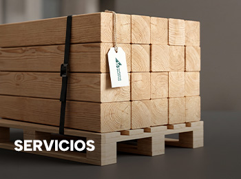Servicios