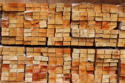CLAVADORES DE OBRA SALIGNA 1"x2"